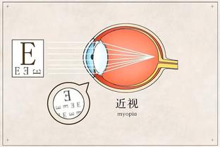 雷竞技手机没法登录截图1